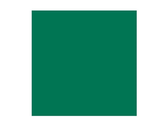 Colorama Bakgrund Spruce Green 2,72x11m #37