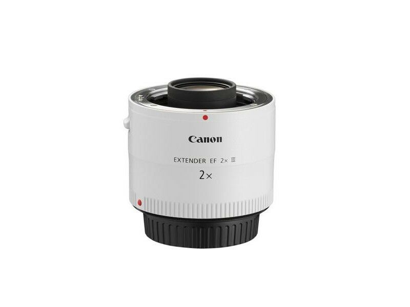 Canon Extender EF 2x III | Scandinavian Photo Canon Extender EF 2x III | Scandinavian Photo
