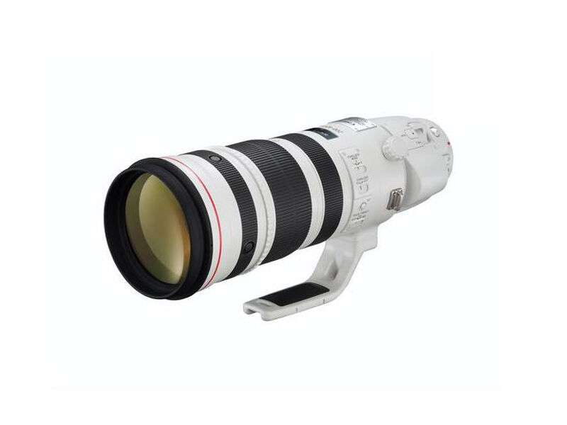 Canon EF 200-400mm f/4L IS USM Extender 1,4x | Scandinavian Photo